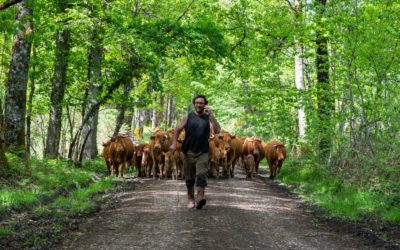 AU CŒUR DES CAMPAGNES BIO